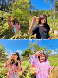 CARAVAN GLAMPING DI PENGALENGAN BANDUNG