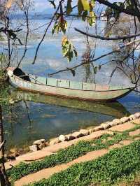 “The Shimmering Blue Jewel of Dali”