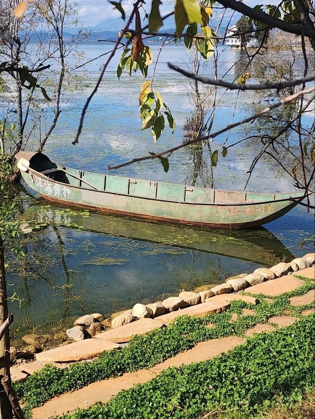 “The Shimmering Blue Jewel of Dali”