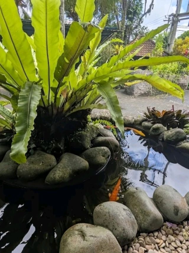 EXCELLENT VEGAN CAFÉ IN BALI.