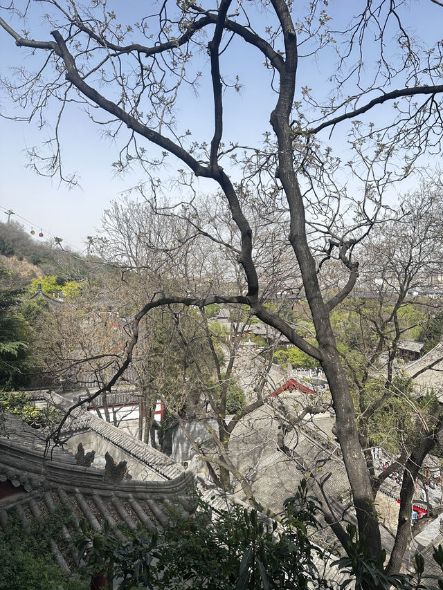 日落雲霧裡的貓影西安 日落雲霧裡的貓影西安