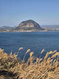 ☀️ 제주 송악산 둘레길, 한 바퀴로 만나는 서귀포 풍경 🌊