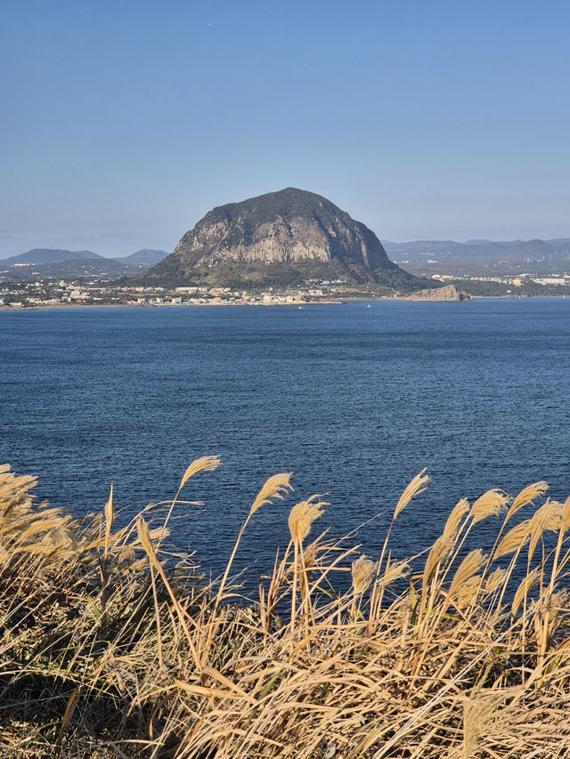 ☀️ 제주 송악산 둘레길, 한 바퀴로 만나는 서귀포 풍경 🌊