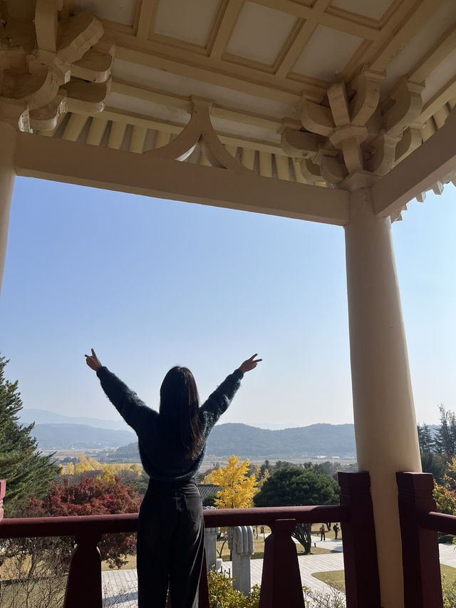 경주 은행나무 포토존 유적지 경주 은행나무 포토존 유적지