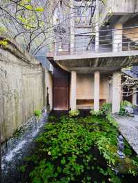 城市中的禪意淨土#🌿 菩薩寺-臺中市大里區