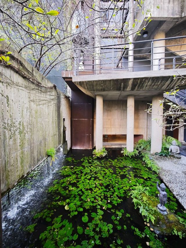 城市中的禪意淨土#🌿 菩薩寺-臺中市大里區 城市中的禪意淨土#🌿 菩薩寺-臺中市大里區