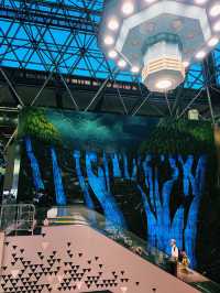 Taoyuan Holiday Vibes🎄