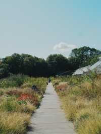 丹麥旅行 -  Noma 回來了 玻璃屋中的北歐味覺實驗室