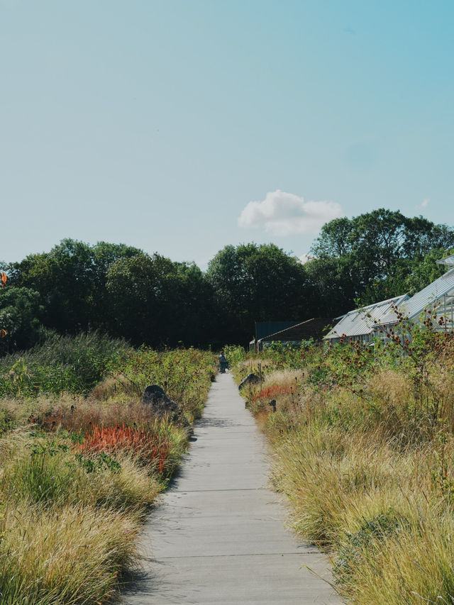 丹麥旅行 -  Noma 回來了 玻璃屋中的北歐味覺實驗室