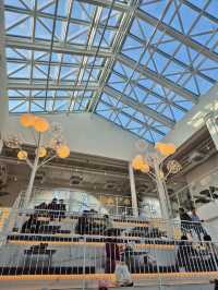 🎄 겨울에 더 깊어지는 포레스트 감성, 용인 포레스트아웃팅스 🎄