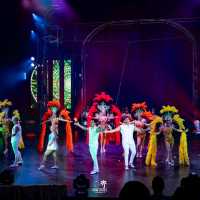 Phuket Circus (The Adrenaline Rush)