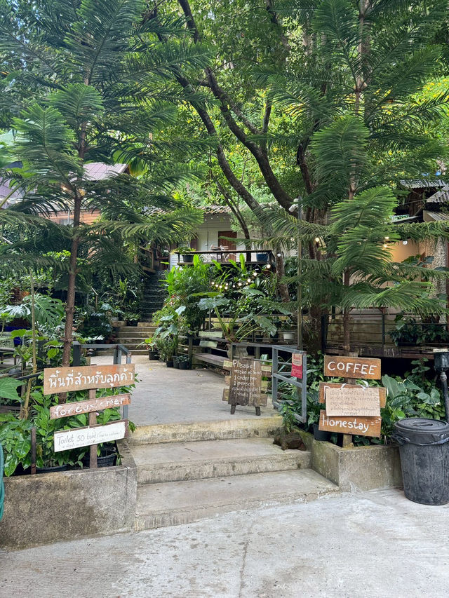 Proud Proud Proud Coffee — คาเฟ่สุดอบอุ่นกลางป่า Proud Proud Proud Coffee — คาเฟ่สุดอบอุ่นกลางป่า