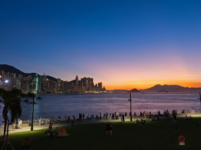 A Symphony of Steel and Starlight: West Kowloon After Dark A Symphony of Steel and Starlight: West Kowloon After Dark