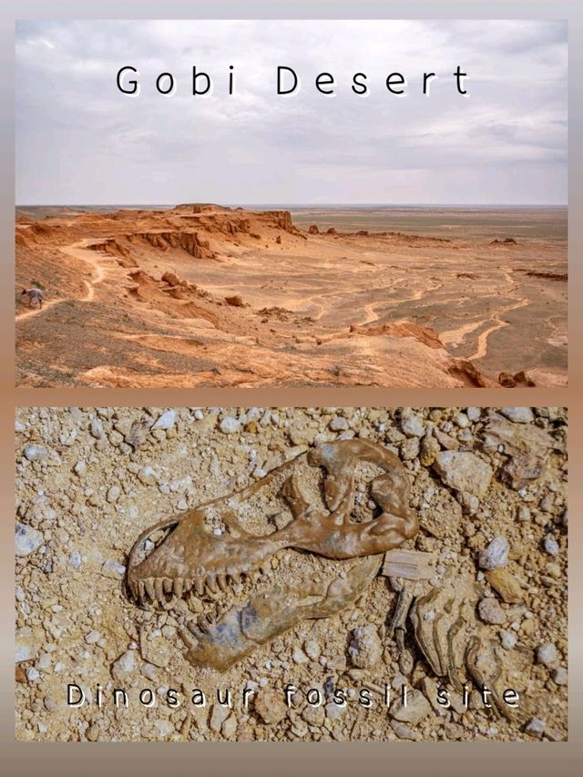 Gobi Desert – Mongolia & China