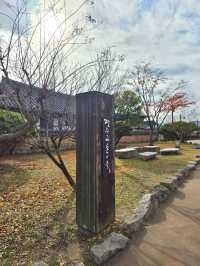 고즈넉한 경주 한옥마을의 매력🤎