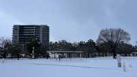 日本最美星巴克 - 富岩運河環水公園