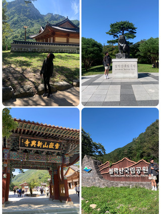 바다와 산 사이, 속초에서의 느린 하루