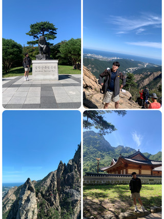 동해의 바람을 따라 걷는 날, 속초