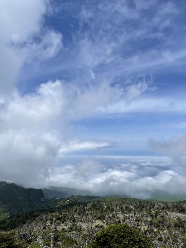 登山の醍醐味 - 韓国最高峰の山、漢拏山（ハルラサン） - 。 | Trip