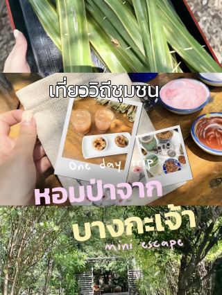 เที่ยววิถีชุมชนแบบสโลว์ไลฟ์ บางกระเจ้า🌳✨
