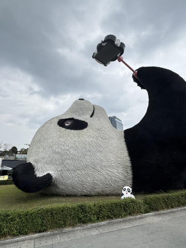 西街·杨柳河街盖碗茶 参考图 1