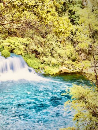 Guatemala Lanquín Caves Mossy Limestone Forest Patheasytravelpost #Lanquin #KanBaCaves #SemucChampe