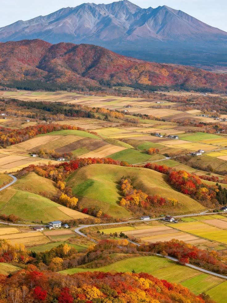 ・ふたつの声 ・Autumn Day Crimson Peaks and Golden Valleys: The Autumn Escape in Daisetsuzan