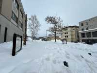 โอตารุ (Otaru)