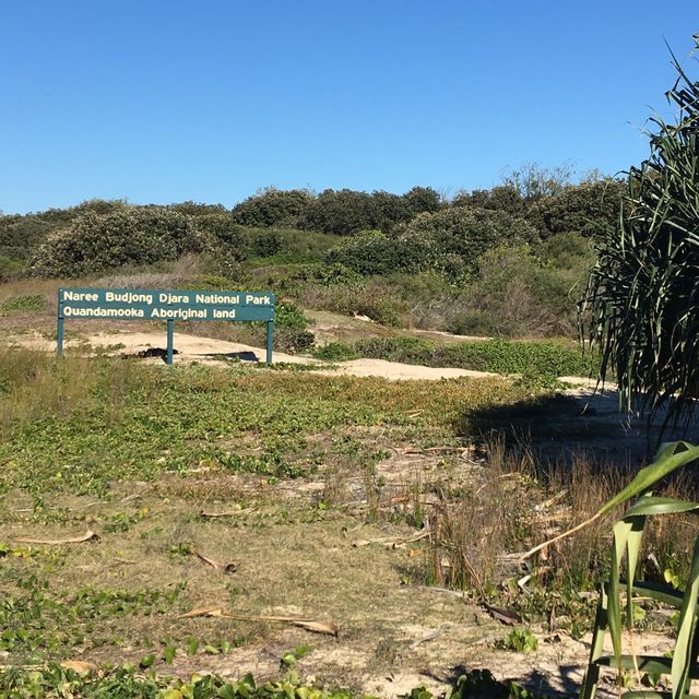 一齊佢揸車去在澳洲布里斯本對出的一個小島！