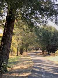 Riding on a Mountain Bike to explore Petaluma
