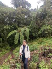Hiking Mt.Apo in Spring 
