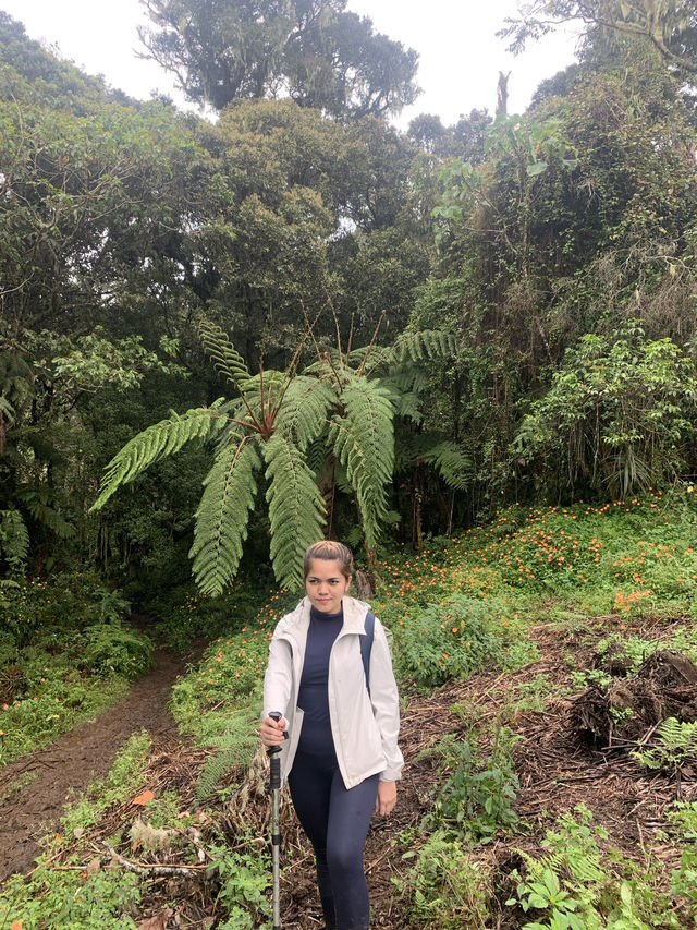 Hiking Mt.Apo in Spring 