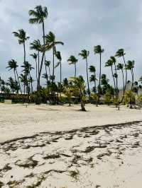 Bibijagua beach 