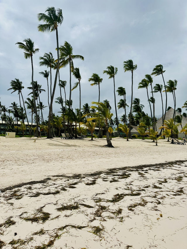 Bibijagua beach 