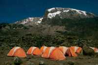 Mount Kilimanjaro 8 Days Lemosho Route