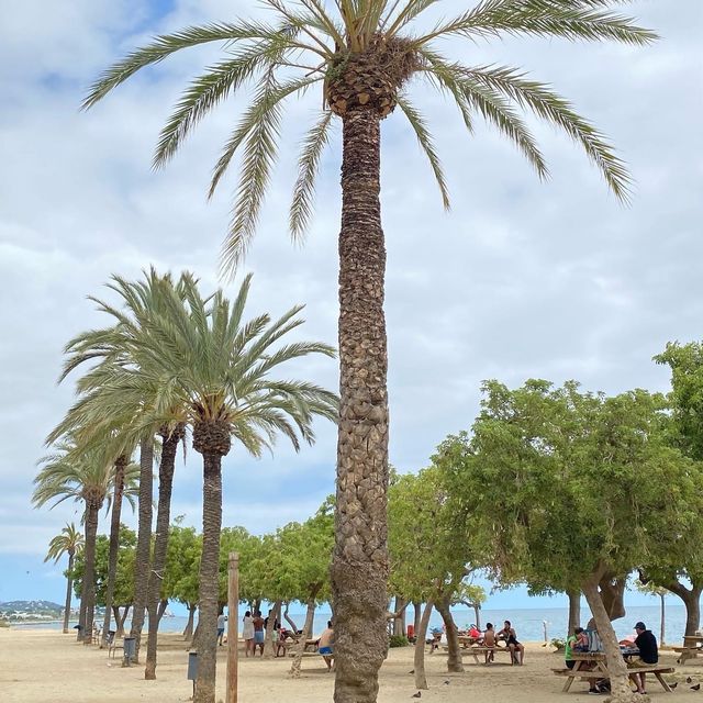 Barceloneta Beach 🗺️