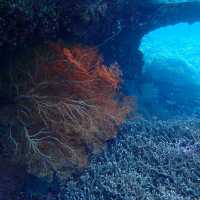 Snorkelingparadise of Raja Ampat