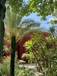 Discover the Secret Garden, Marrakesh 🌺🌿