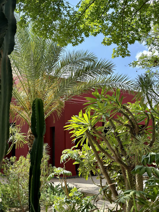 Discover the Secret Garden, Marrakesh 🌺🌿