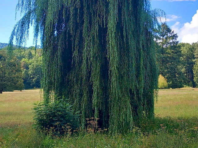 Beautiful castle 🗺️ Beautiful castle 🗺️