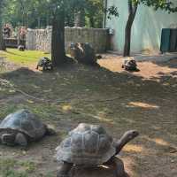 A very big zoo in Poland 🇵🇱