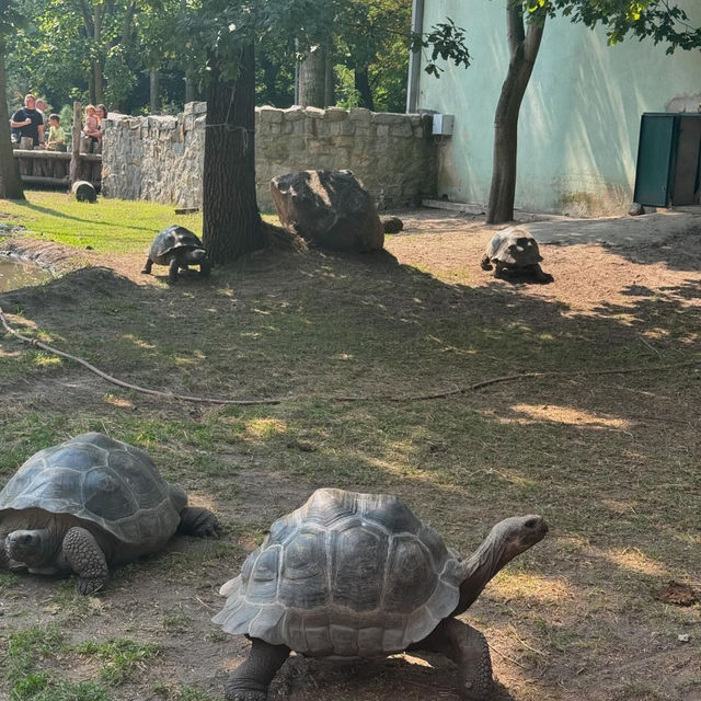 A very big zoo in Poland 🇵🇱