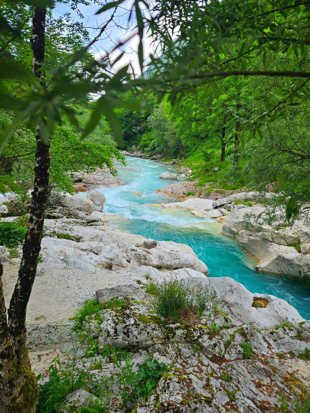  Soča