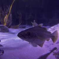 Up-close and personal with the marine world!