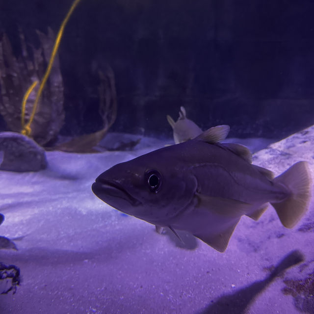 Up-close and personal with the marine world!