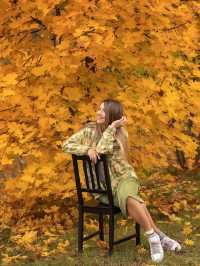 가을의 모스크바 🍂