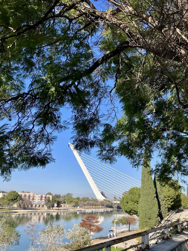Alamillo Bridge - Seville, Spain