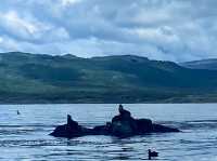 Local Flavor – Ushuaia