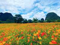 🌿 I Thought I’d Seen Beautiful – Then I Found Yangshuo 🇨🇳