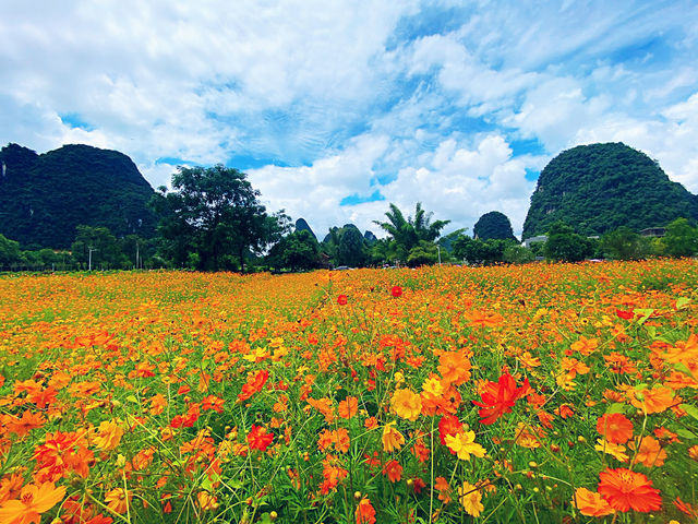🌿 I Thought I’d Seen Beautiful – Then I Found Yangshuo 🇨🇳